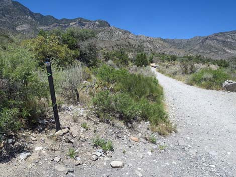 La Madre Trailhead