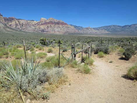 Middle Oak Creek Trailhead