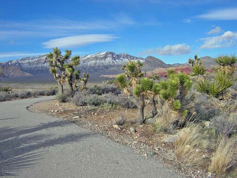 Red Rock Overlook Trailhead