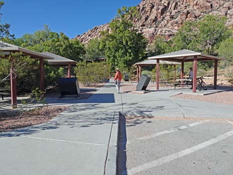 Red Spring Boardwalk