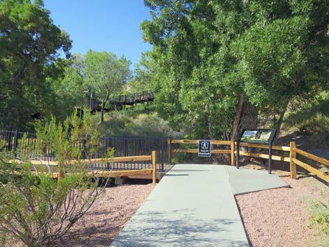 Red Spring Boardwalk