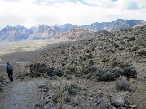 Turtlehead Mountain