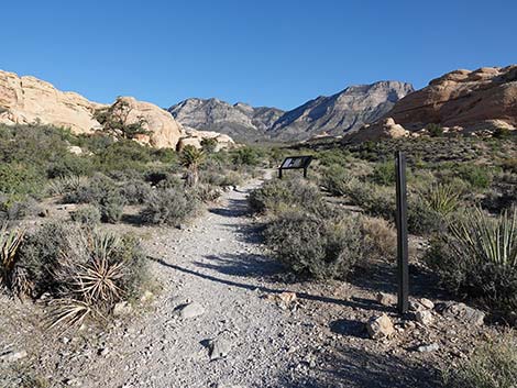 Turtlehead Mountain