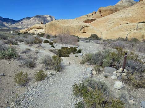 Turtlehead Mountain