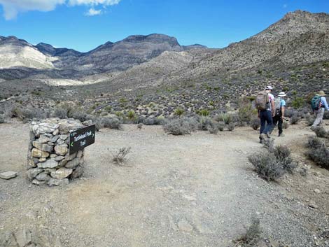 Turtlehead Mountain