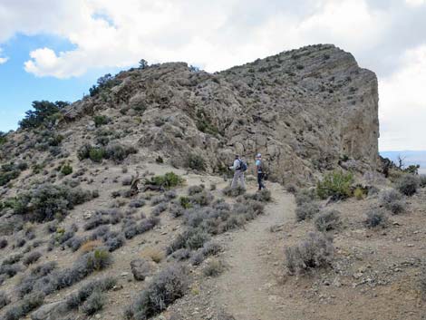 Turtlehead Mountain