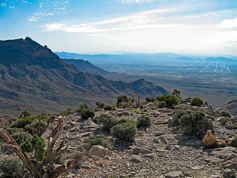 Turtlehead Peak - Summit Views