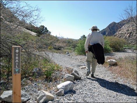 White Rock Loop Trail