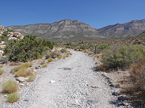 White Rock Loop Trail