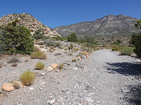 White Rock Loop Trail