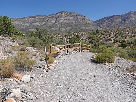 White Rock Loop Trail