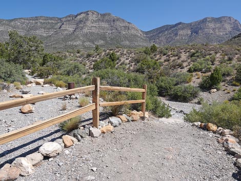 White Rock Loop Trail