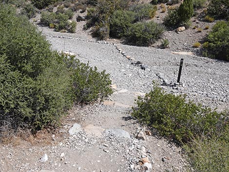 White Rock Loop Trail