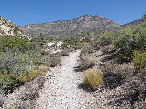 White Rock Loop Trail