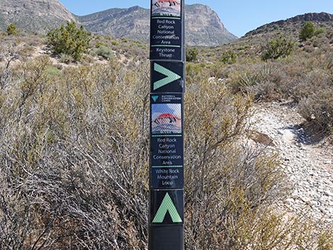 White Rock Loop Trail