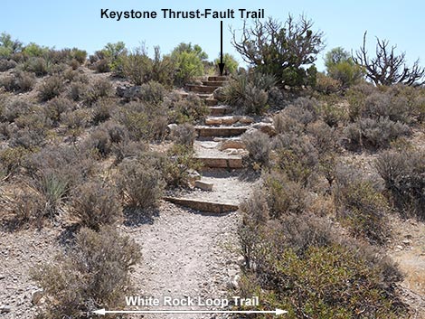 White Rock Loop Trail