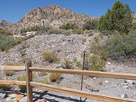 White Rock Loop Trail