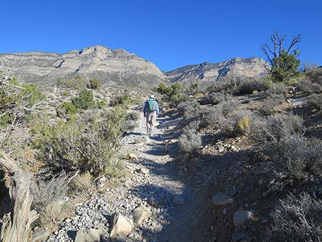 White Rock Loop Trail