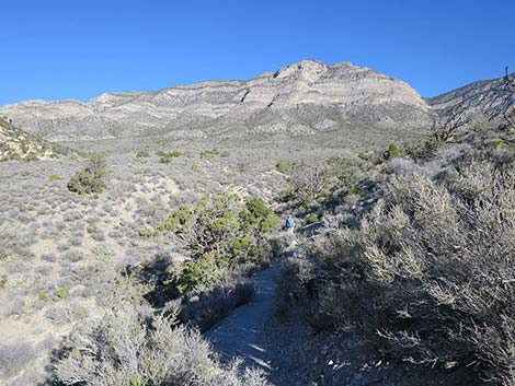 White Rock Loop Trail