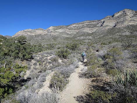 White Rock Loop Trail