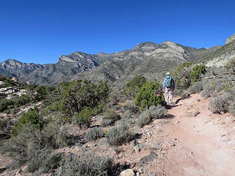 White Rock Loop Trail