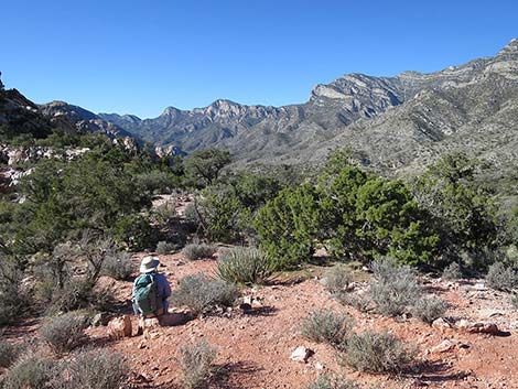 White Rock Loop Trail