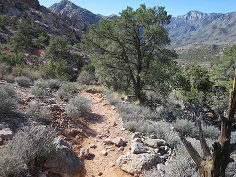 White Rock Loop Trail