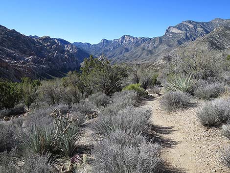 White Rock Loop Trail