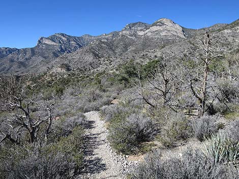 White Rock Loop Trail