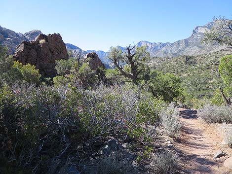 White Rock Loop Trail