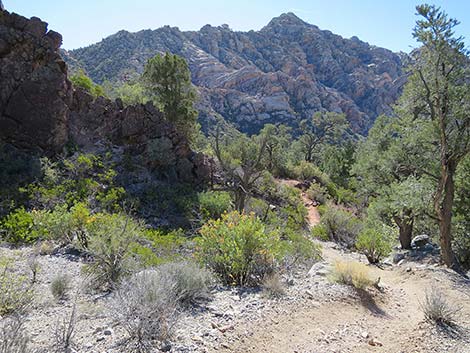 White Rock Loop Trail