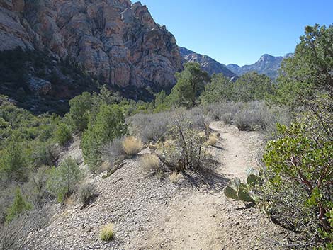 White Rock Loop Trail