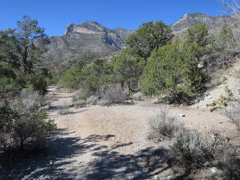 White Rock Loop Trail