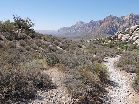 White Rock Loop Trail