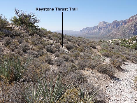 White Rock Loop Trail