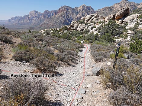 White Rock Loop Trail