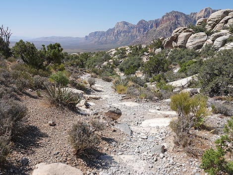 White Rock Loop Trail