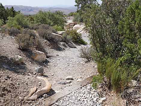 White Rock Loop Trail