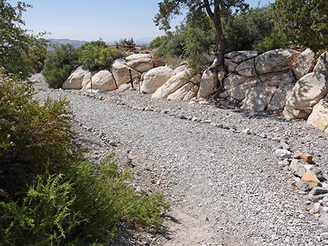 White Rock Loop Trail