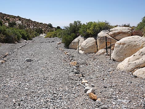 White Rock Loop Trail
