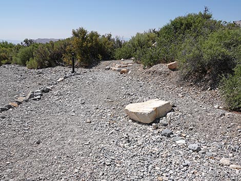 White Rock Loop Trail
