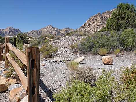 White Rock Loop Trail