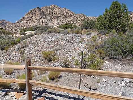 White Rock Loop Trail