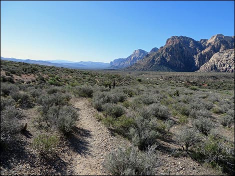 White Rock Loop Trail