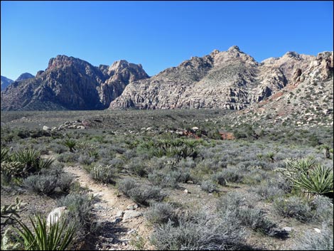 White Rock Loop Trail