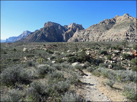 White Rock Loop Trail