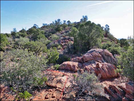 Wilson's Pimple Peak Trail