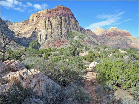 Wilson's Pimple Peak Trail