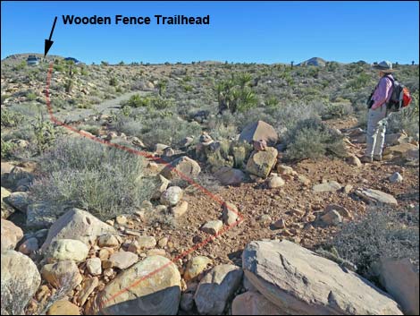 Wooden Fence Spring