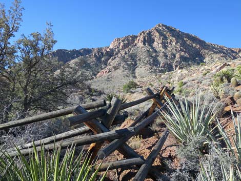 Wooden Fence Spring Trail